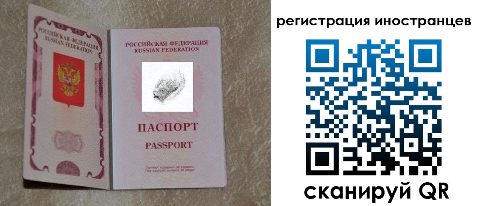 прописка законно в Кудрово